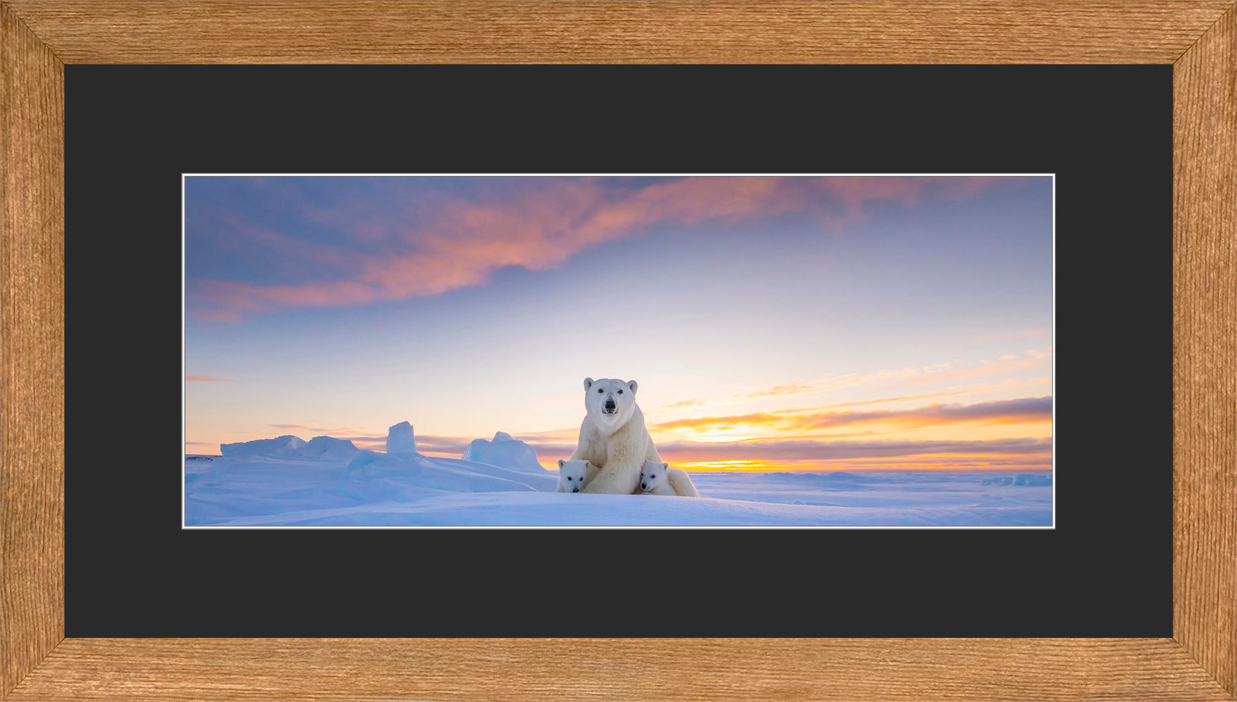 Panoramic Canadian Wood Frame Brown/Black Mat