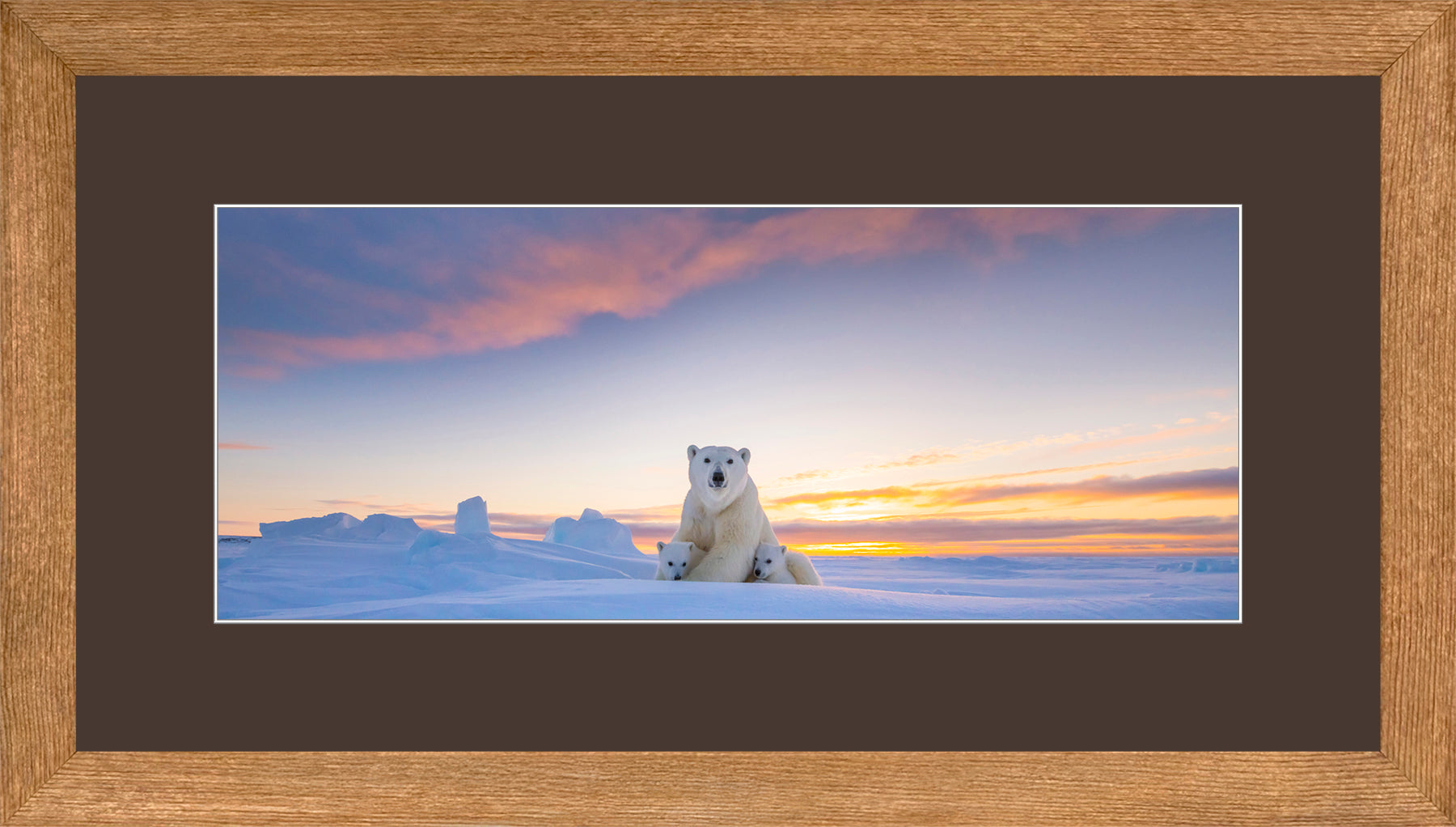Panoramic Canadian Wood Frame Brown/Brown Mat