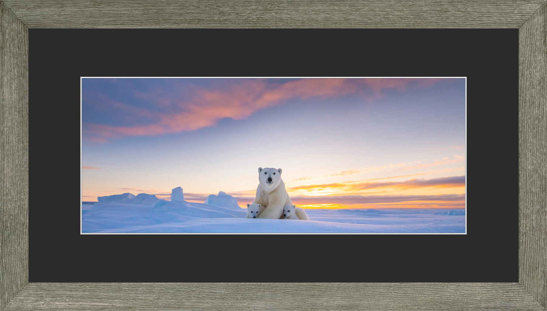 Panoramic Canadian Wood Frame Grey/Black Mat