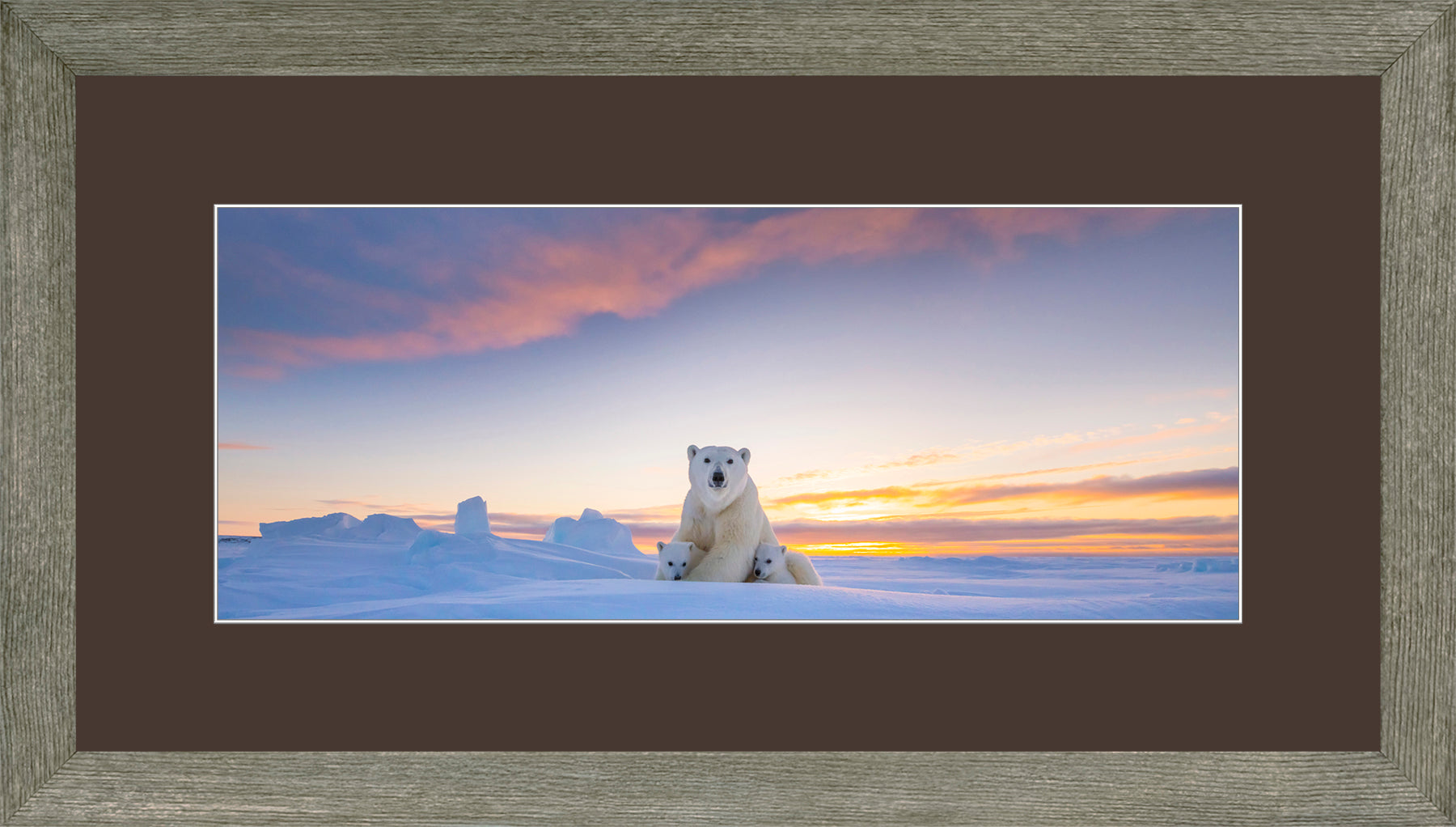 Panoramic Canadian Wood Frame Grey/Brown Mat