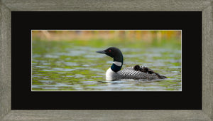 Canadian Wood Frame Panoramic