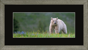 Canadian Wood Frame Panoramic