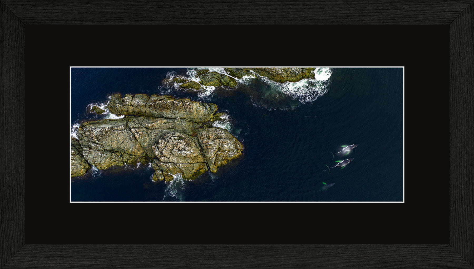 Canadian Wood Frame Panoramic