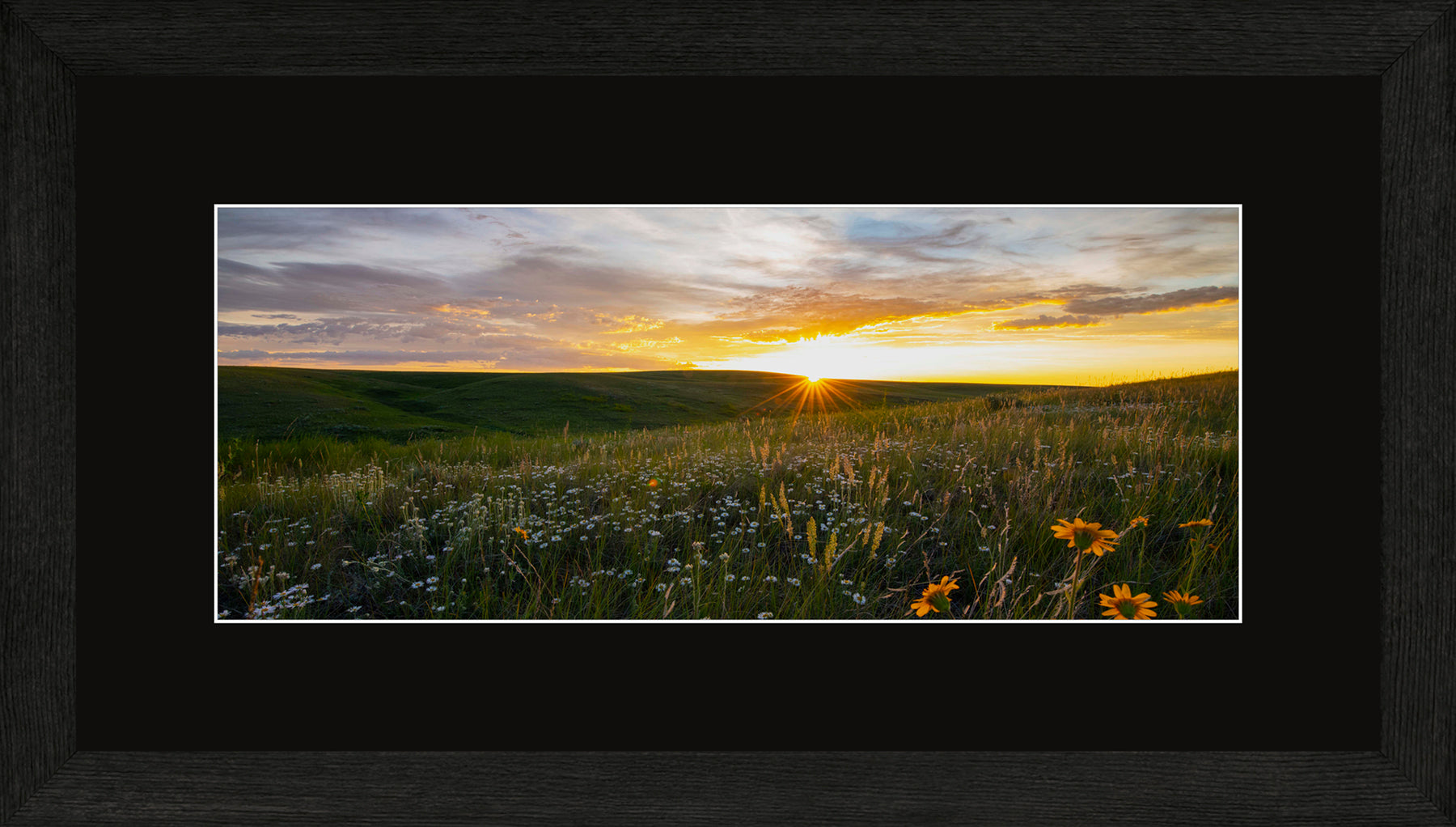 Canadian Wood Frame Panoramic