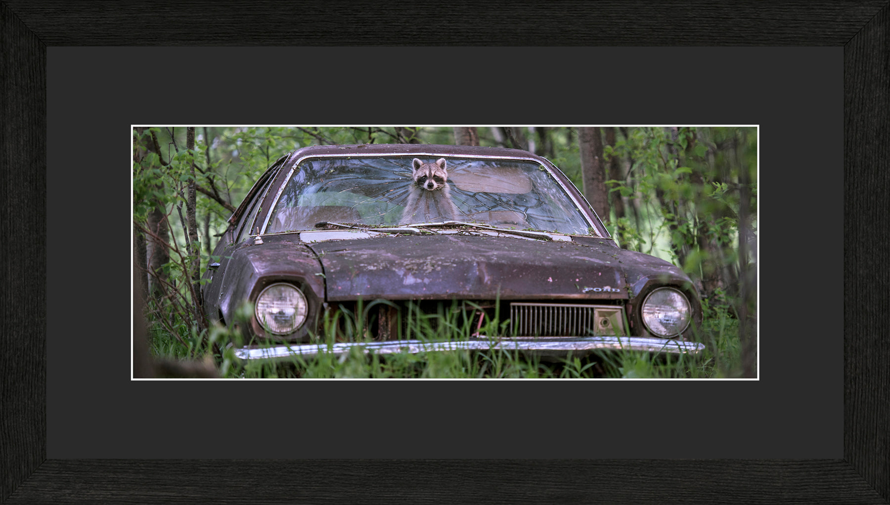 Panoramic Canadian Wood Frame Black/Black Mat