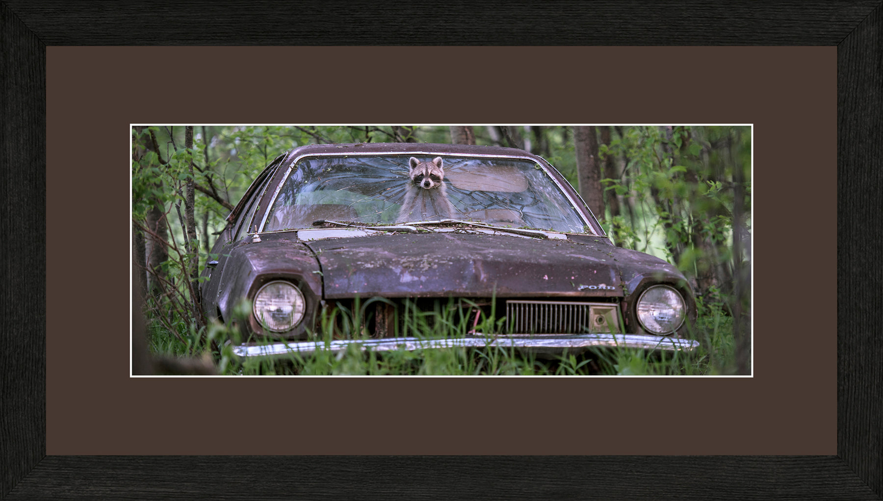 Panoramic Canadian Wood Frame Black/Brown Mat