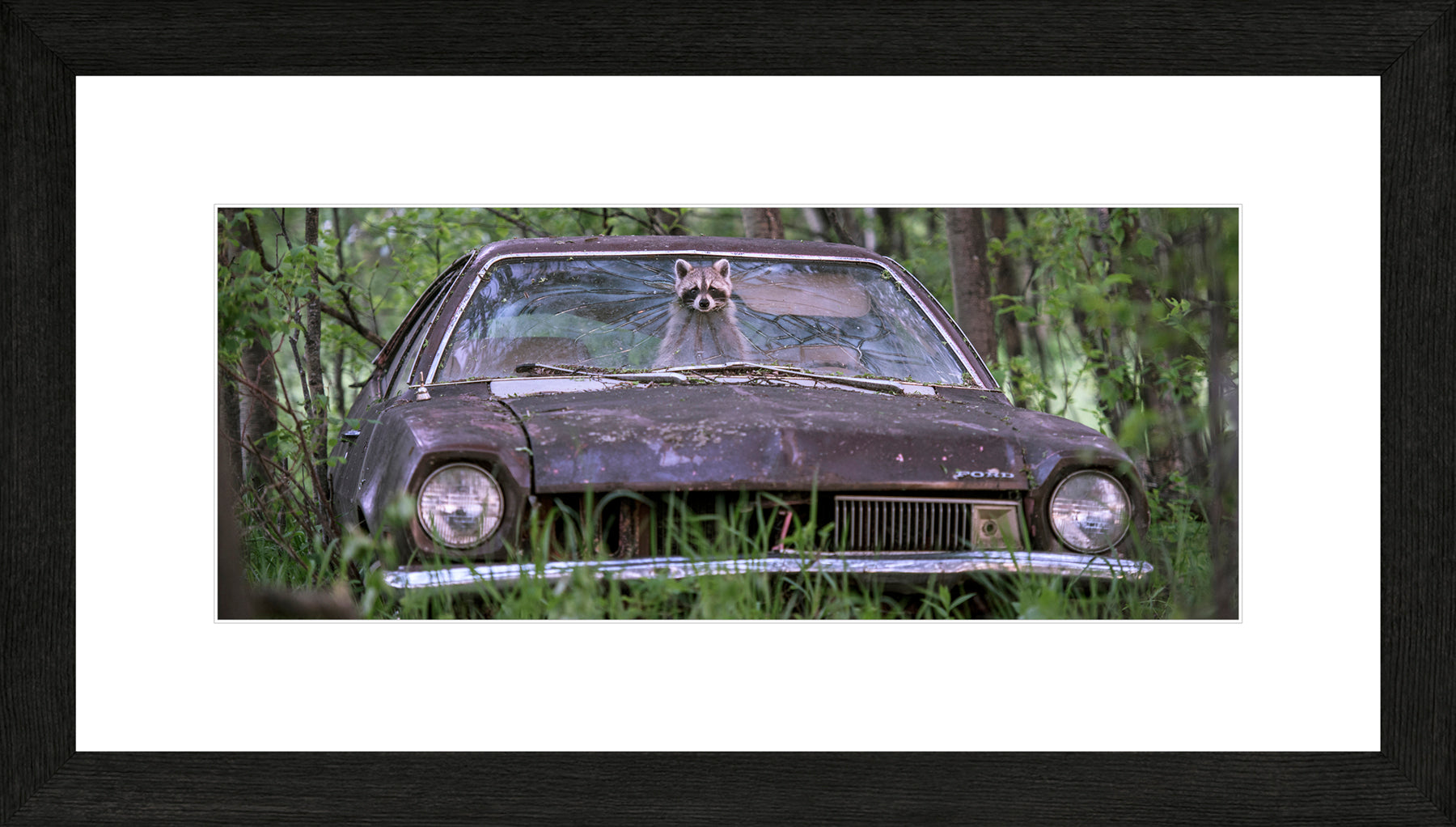 Panoramic Canadian Wood Frame Black/White Mat