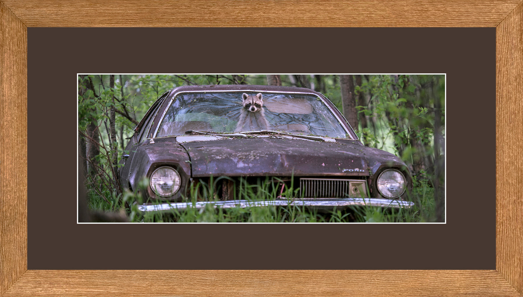 Panoramic Canadian Wood Frame Brown/Brown Mat