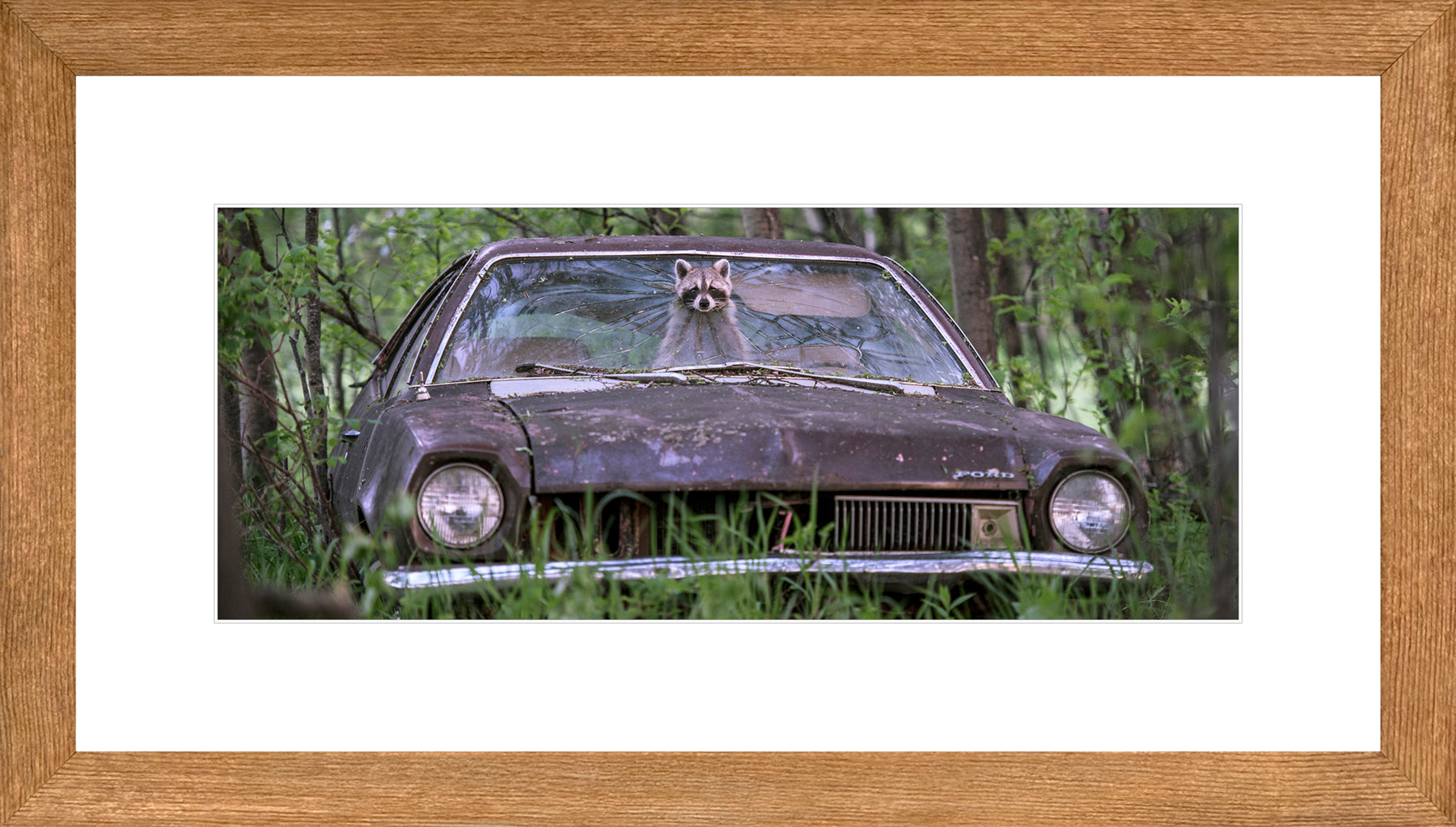 Panoramic Canadian Wood Frame Brown/White Mat