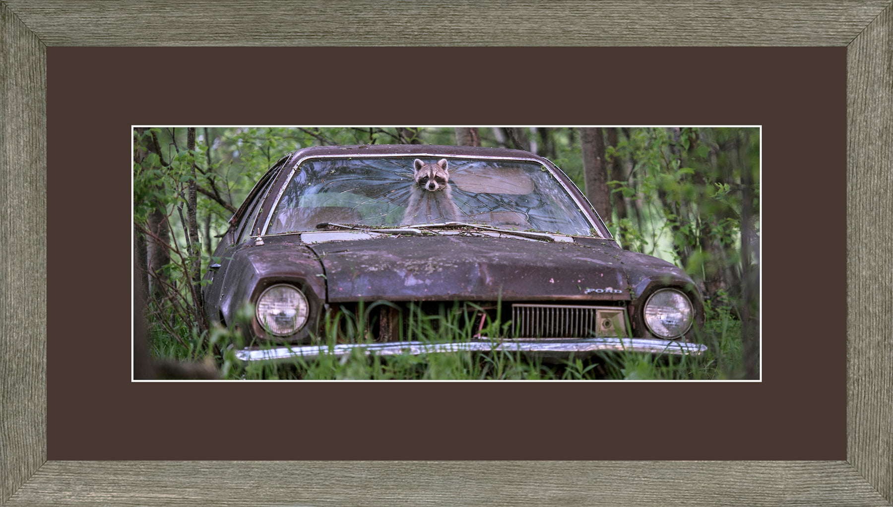 Panoramic Canadian Wood Frame Grey/Brown Mat
