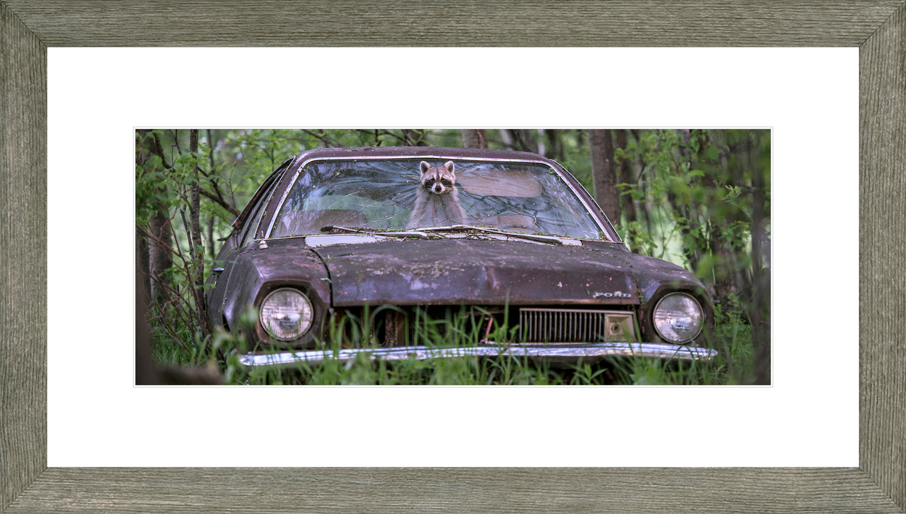 Panoramic Canadian Wood Frame Grey/White Mat