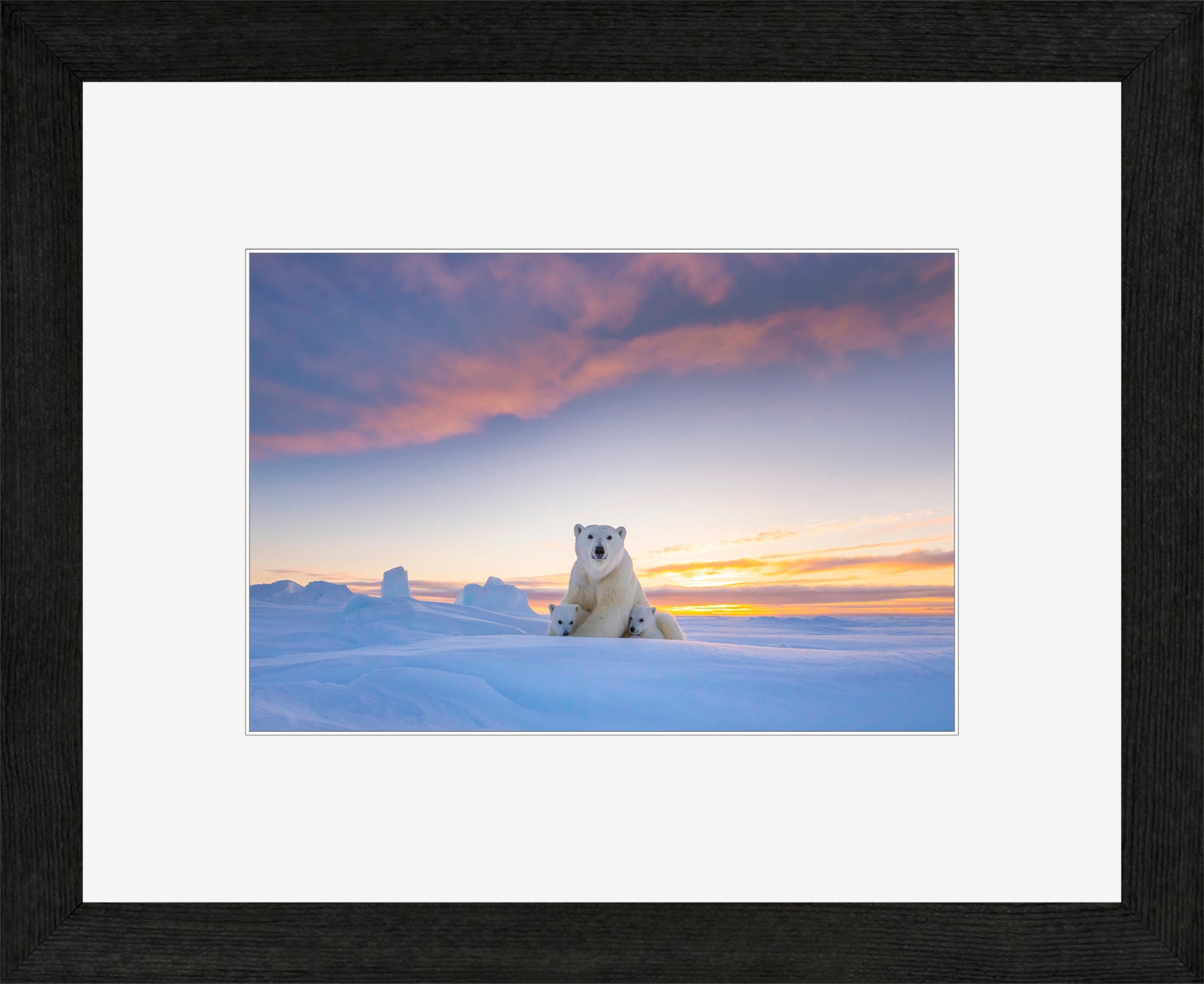 Canadian Wood Frame Black/White Mat
