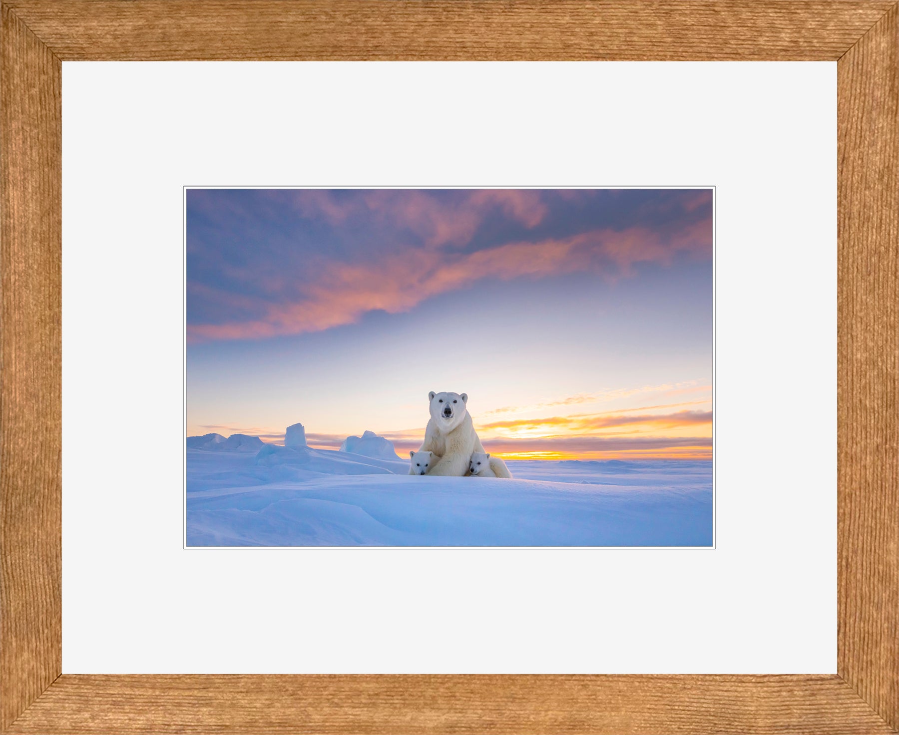 Canadian Wood Frame Brown/White Mat