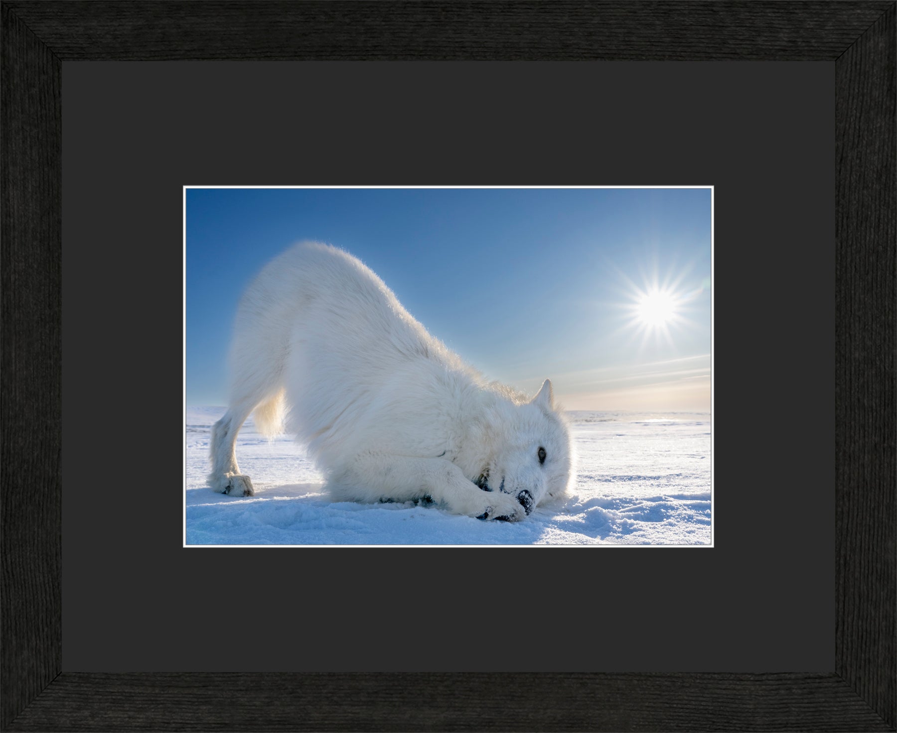 Canadian Wood Frame Black/Black Mat