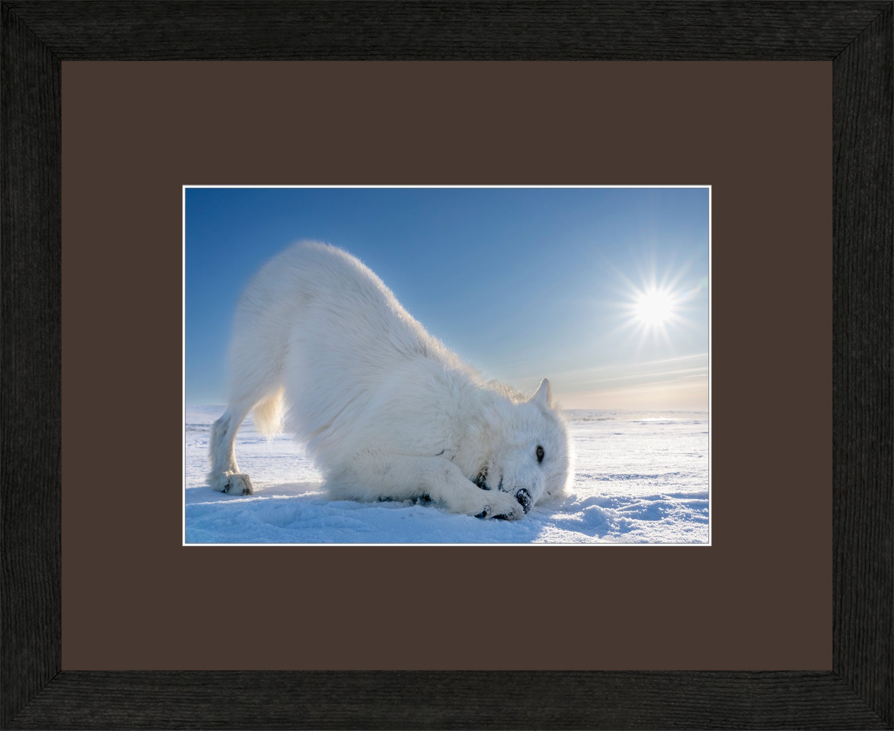 Canadian Wood Frame Black/Brown Mat