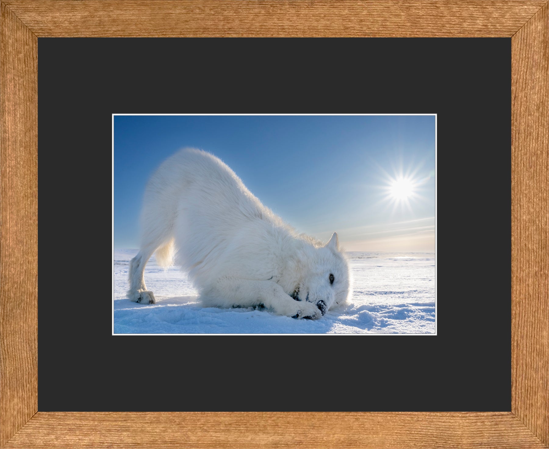 Canadian Wood Frame Brown/Black Mat