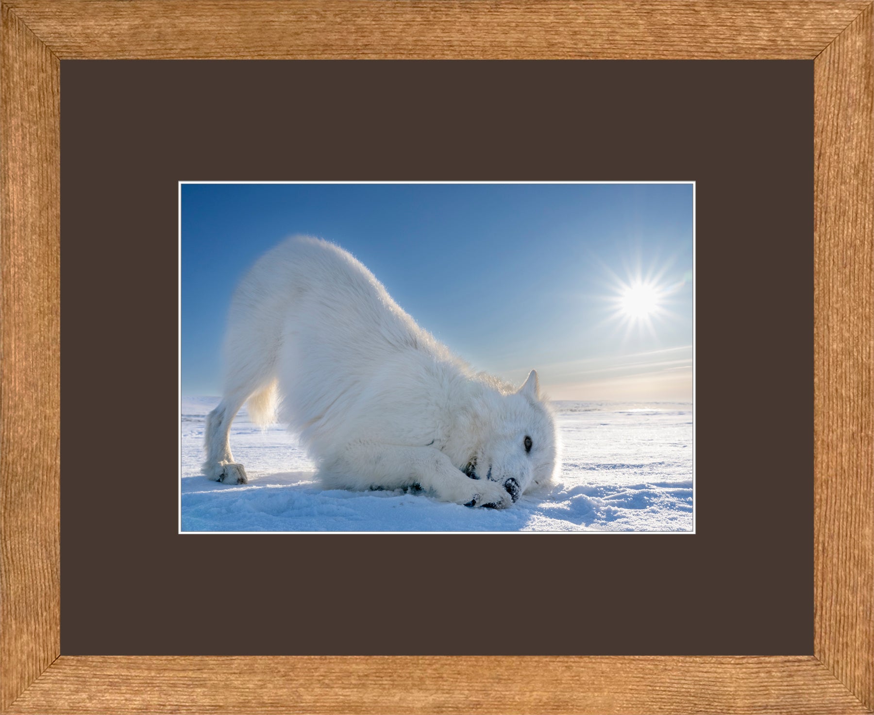 Canadian Wood Frame Brown/Brown Mat