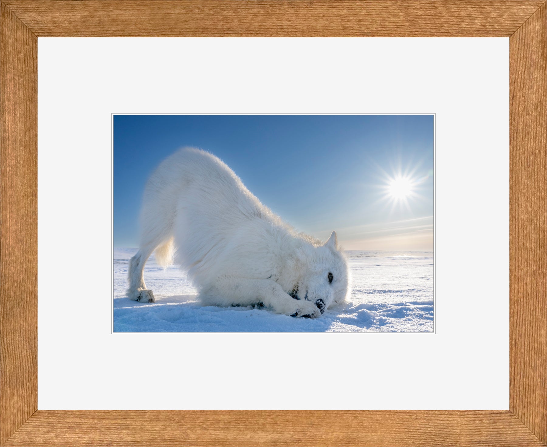 Canadian Wood Frame Brown/White Mat