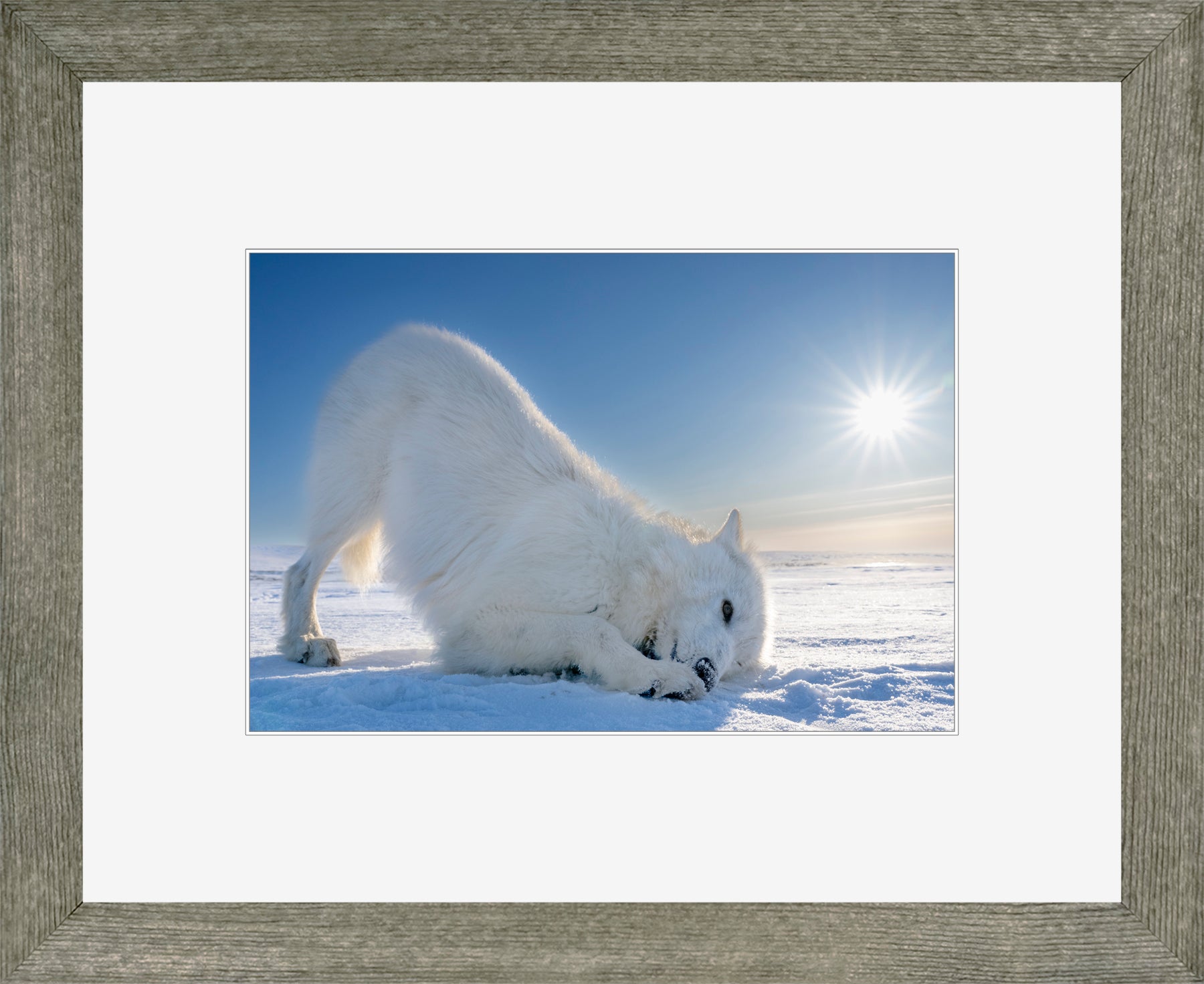 Canadian Wood Frame Grey/White Mat