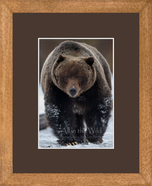Canadian Wood Frame (Recommended)