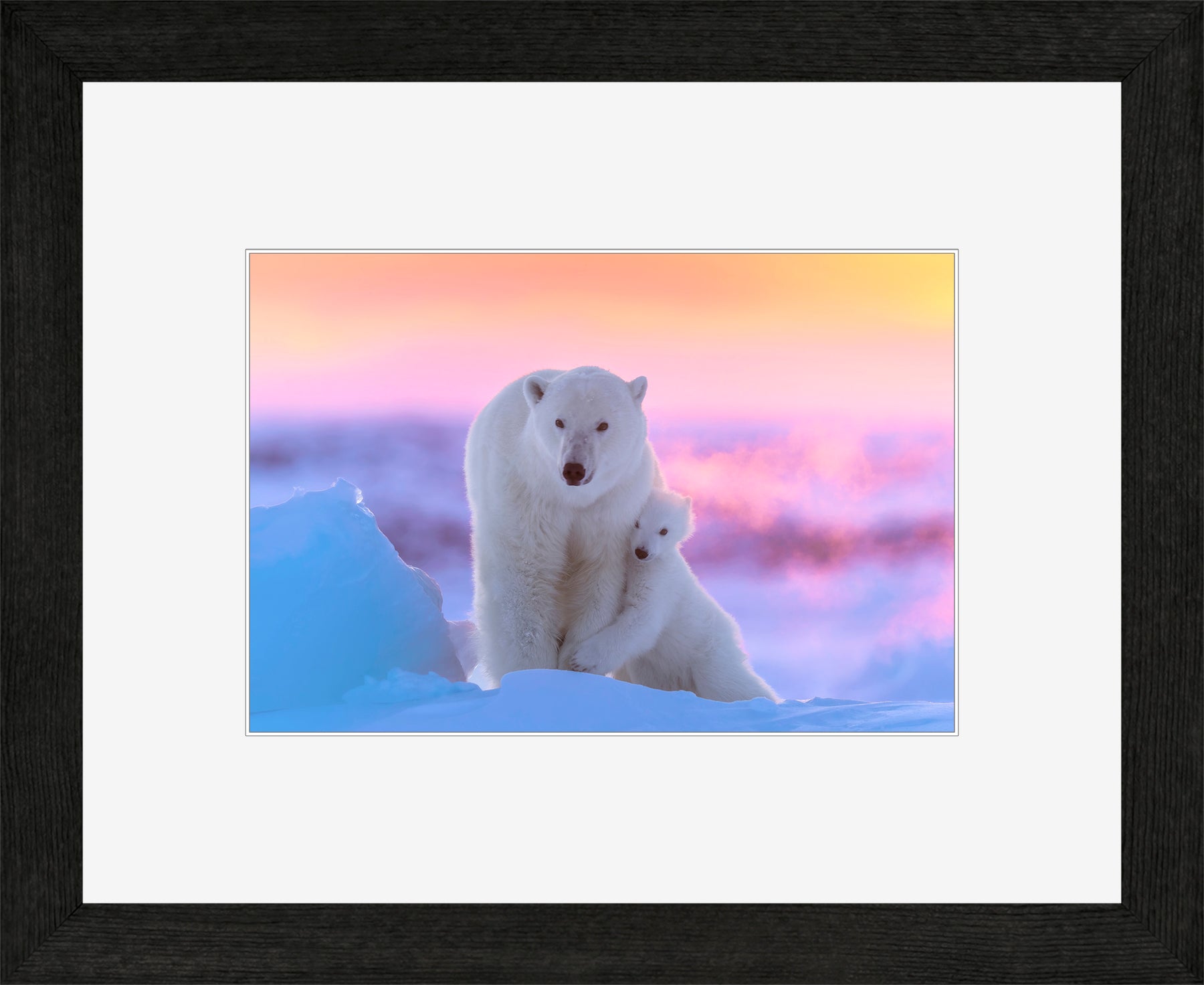 Canadian Wood Frame