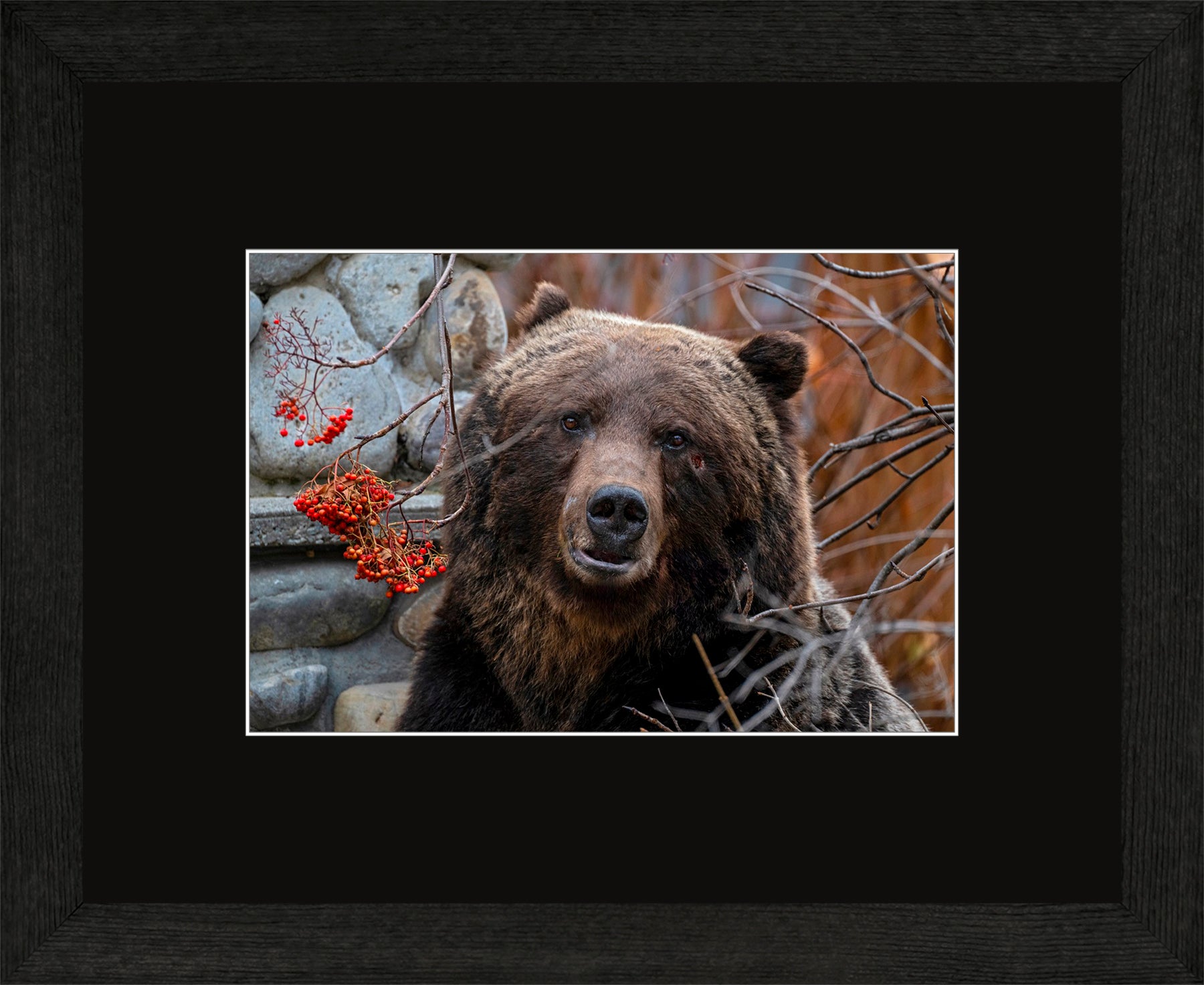 Canadian Wood Frame Black/Black Mat