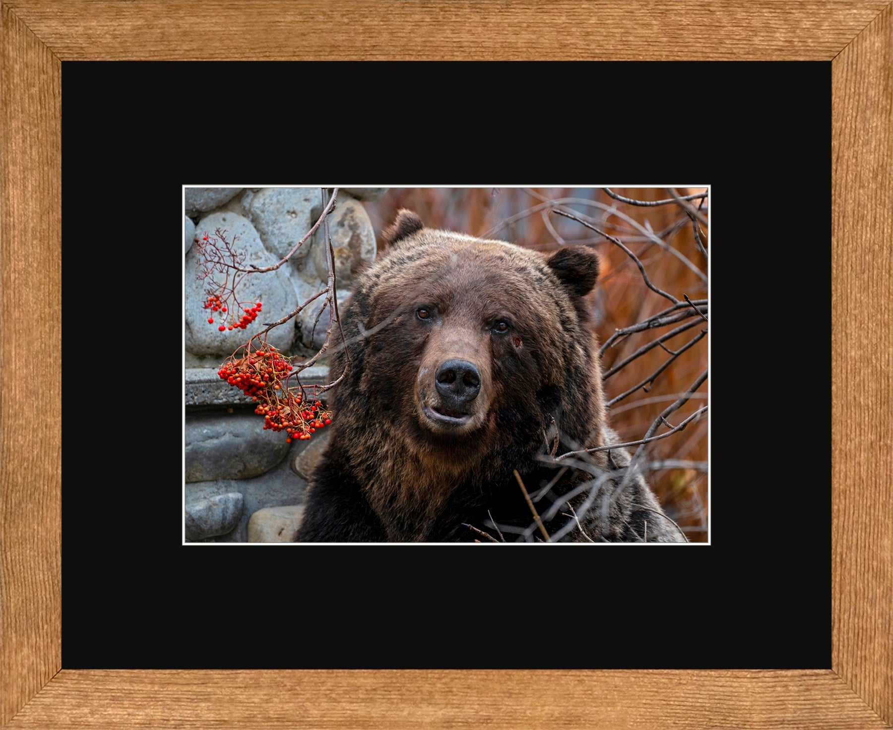Canadian Wood Frame Brown/Black Mat
