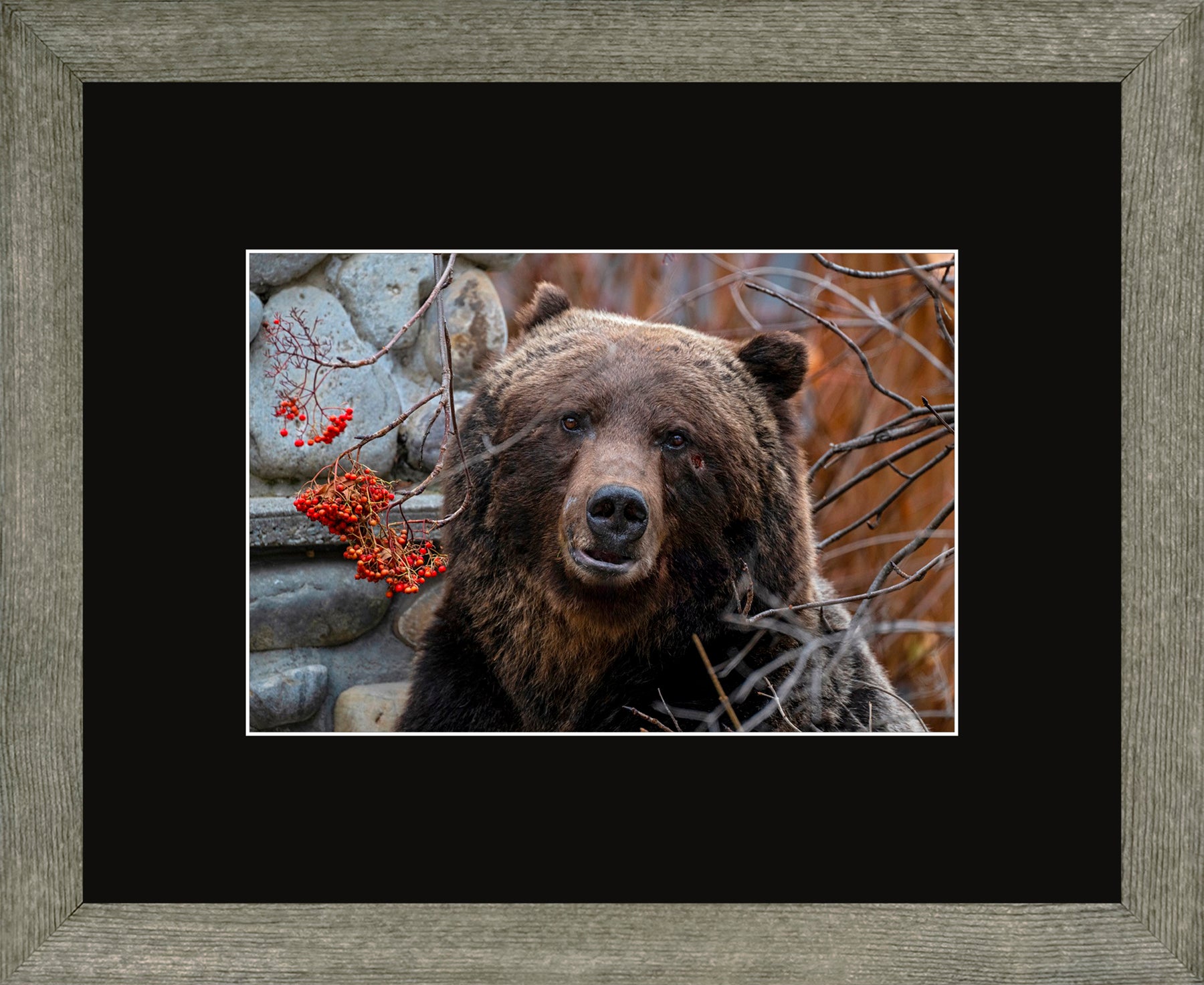 Canadian Wood Frame Grey/Black Mat