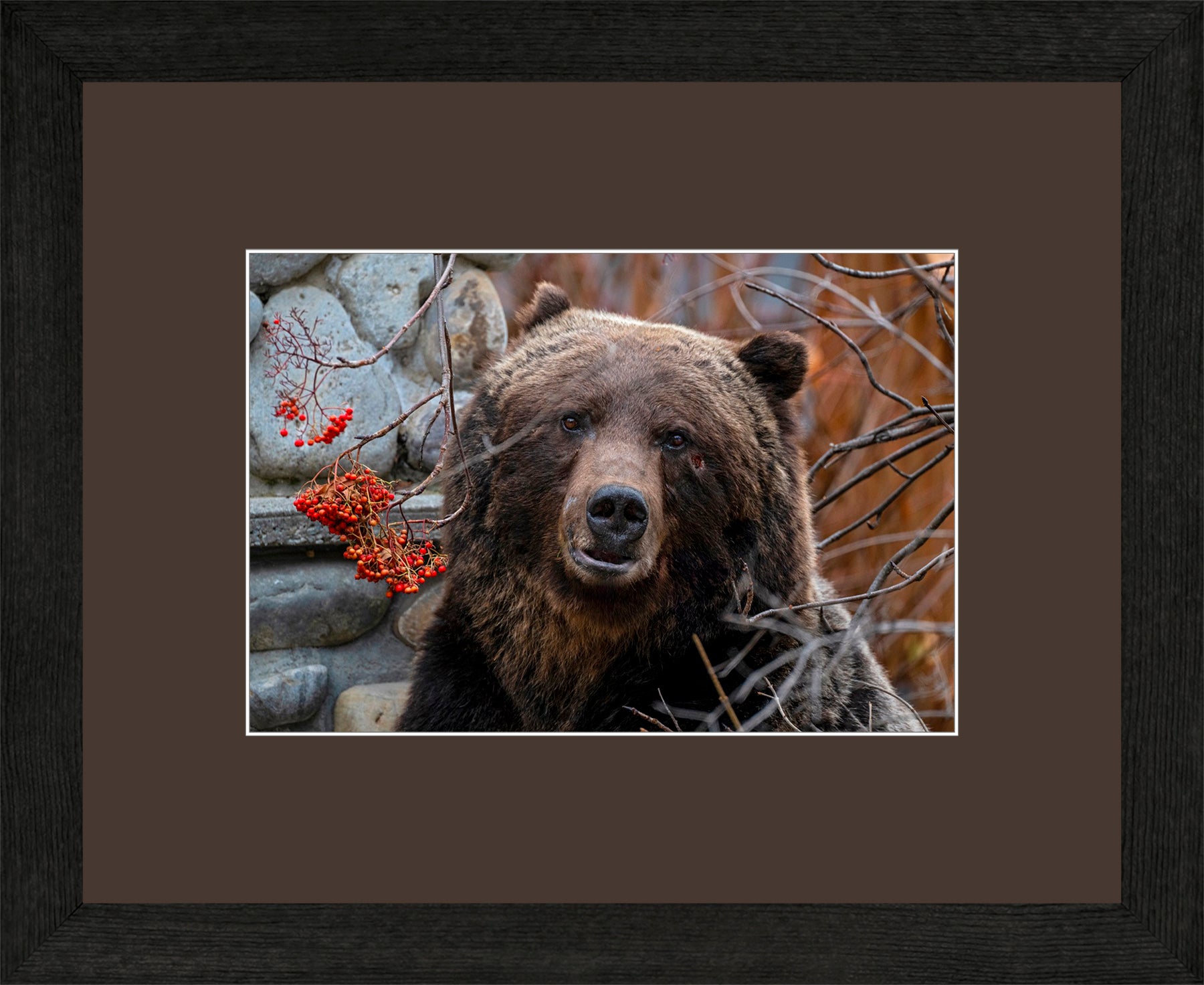 Canadian Wood Frame Black/Brown Mat