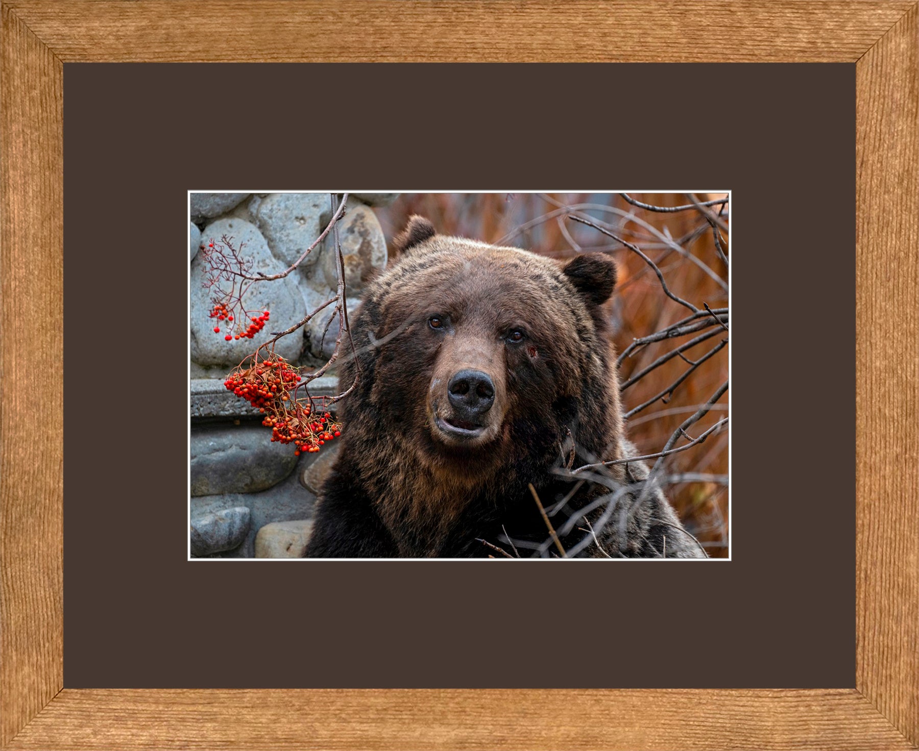 Canadian Wood Frame Brown/Brown Mat