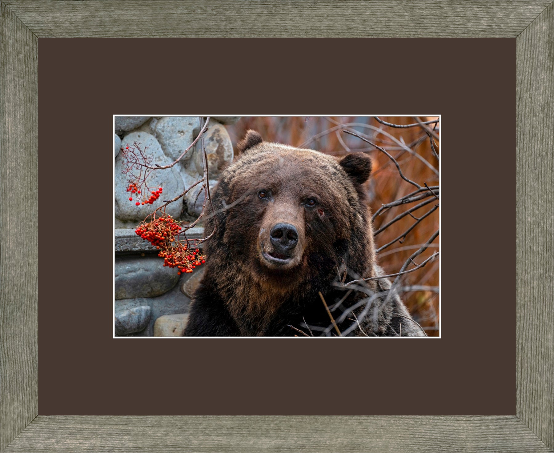 Canadian Wood Frame Grey/Brown Mat