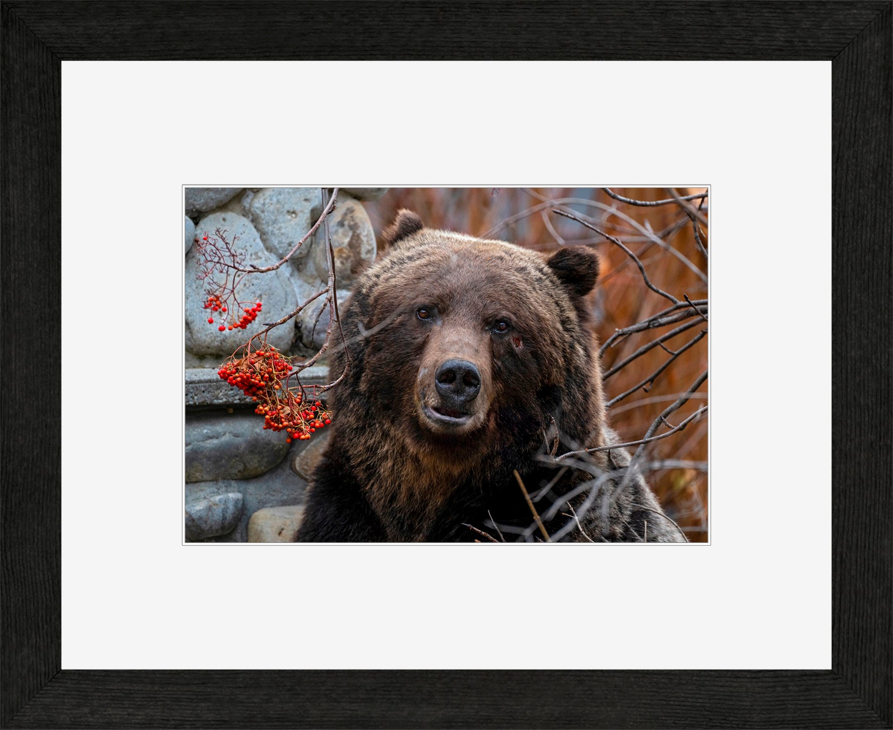 Canadian Wood Frame Black/White Mat