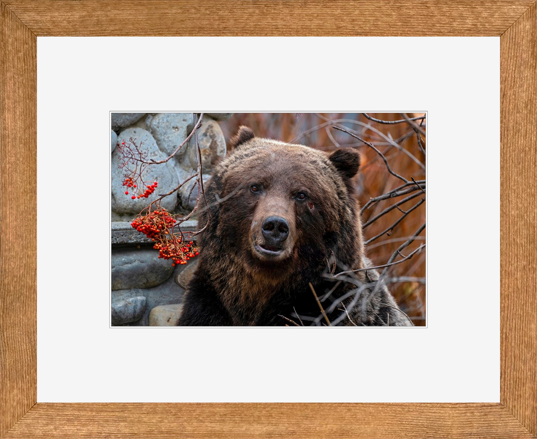 Canadian Wood Frame Brown/White Mat
