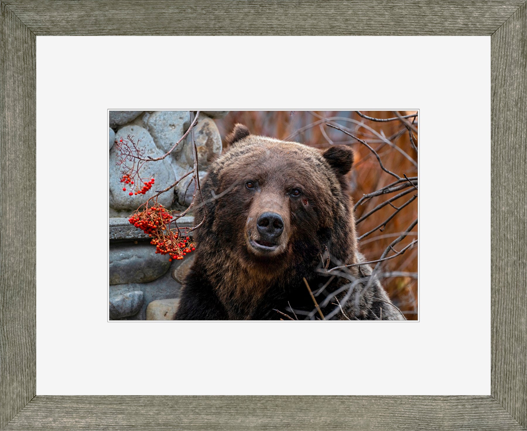 Canadian Wood Frame Grey/White Mat