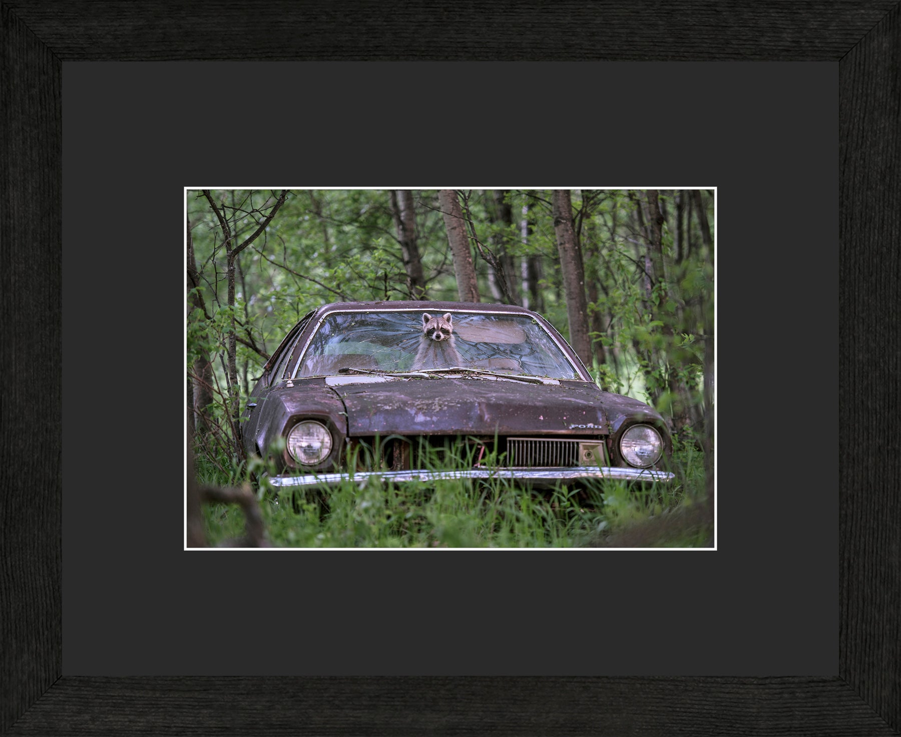 Canadian Wood Frame Black/Black Mat