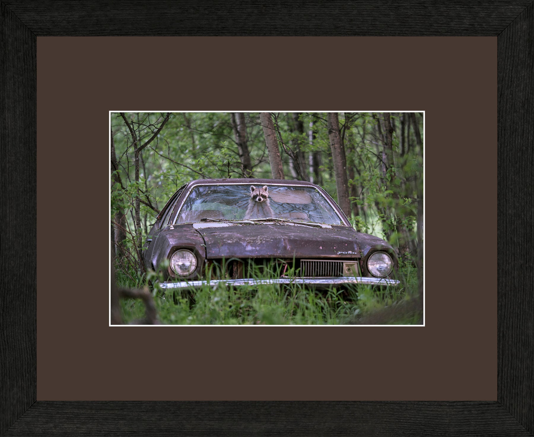 Canadian Wood Frame Black/Brown Mat