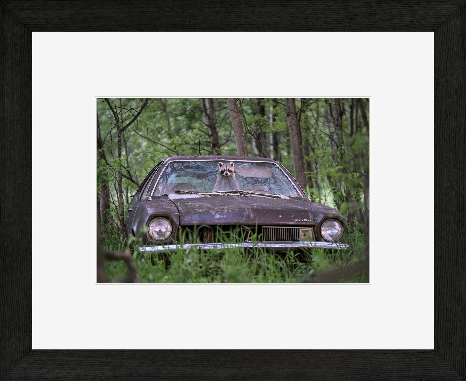 Canadian Wood Frame Black/White Mat