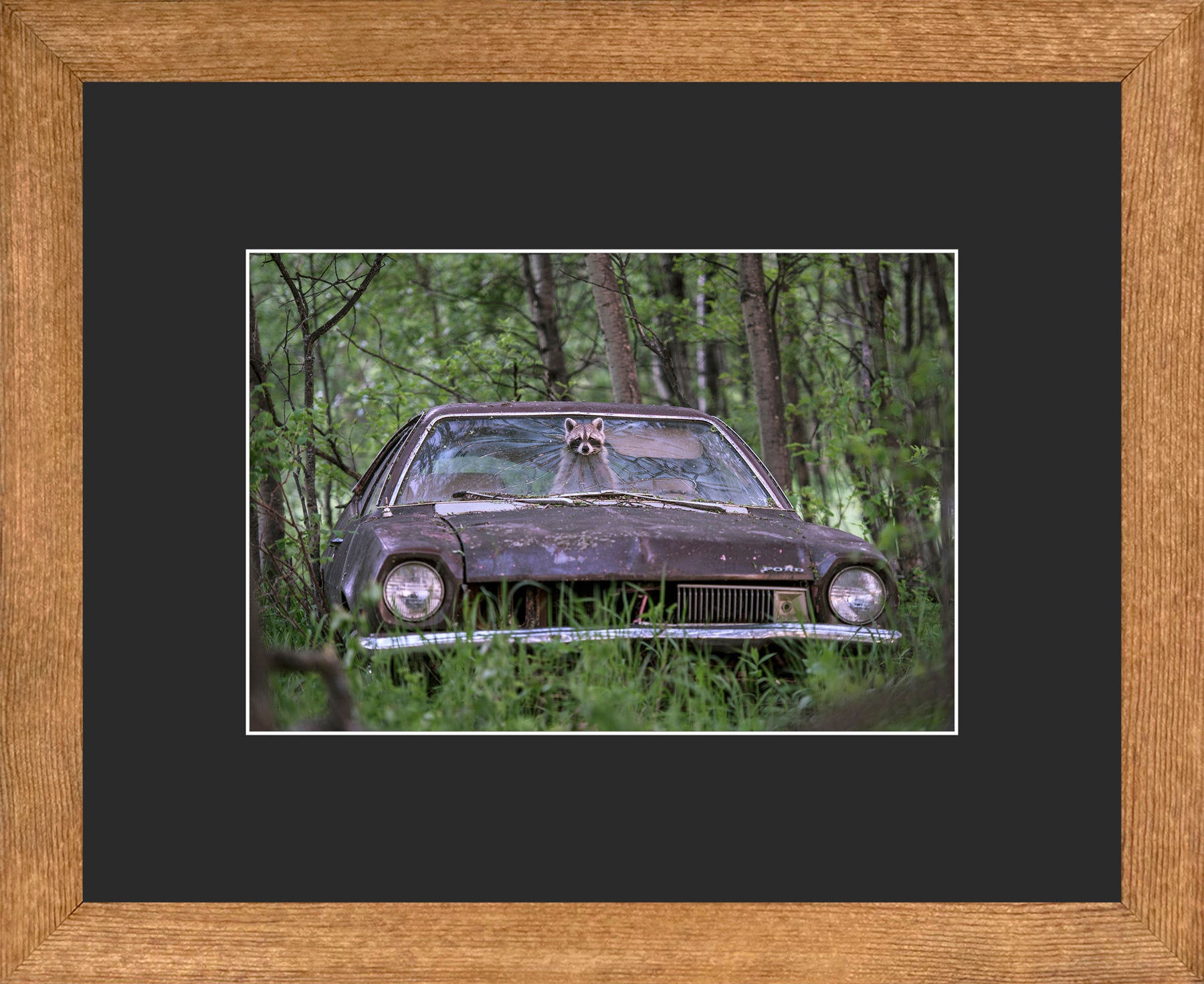 Canadian Wood Frame Brown/Black Mat