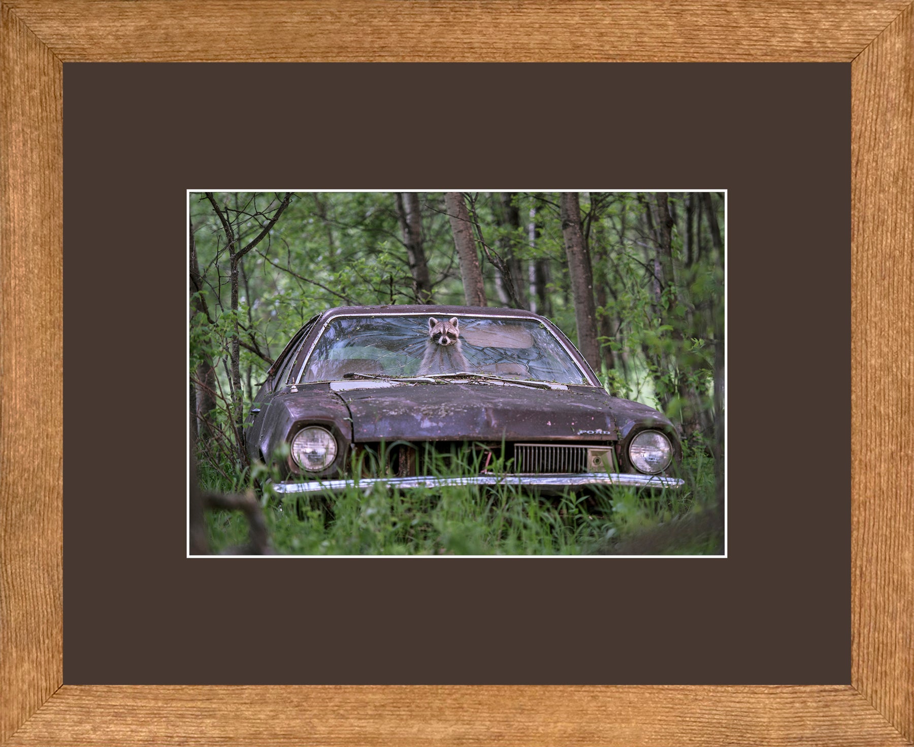Canadian Wood Frame Brown/Brown Mat