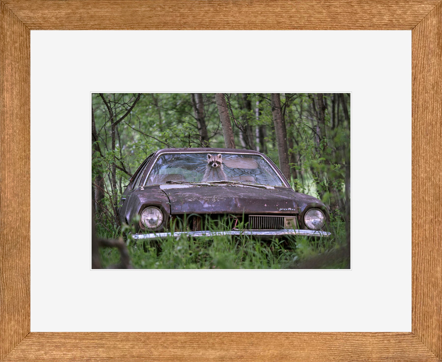 Canadian Wood Frame Brown/White Mat