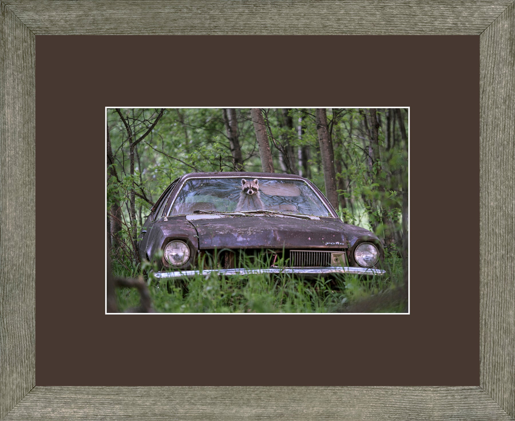 Canadian Wood Frame Grey/Brown Mat