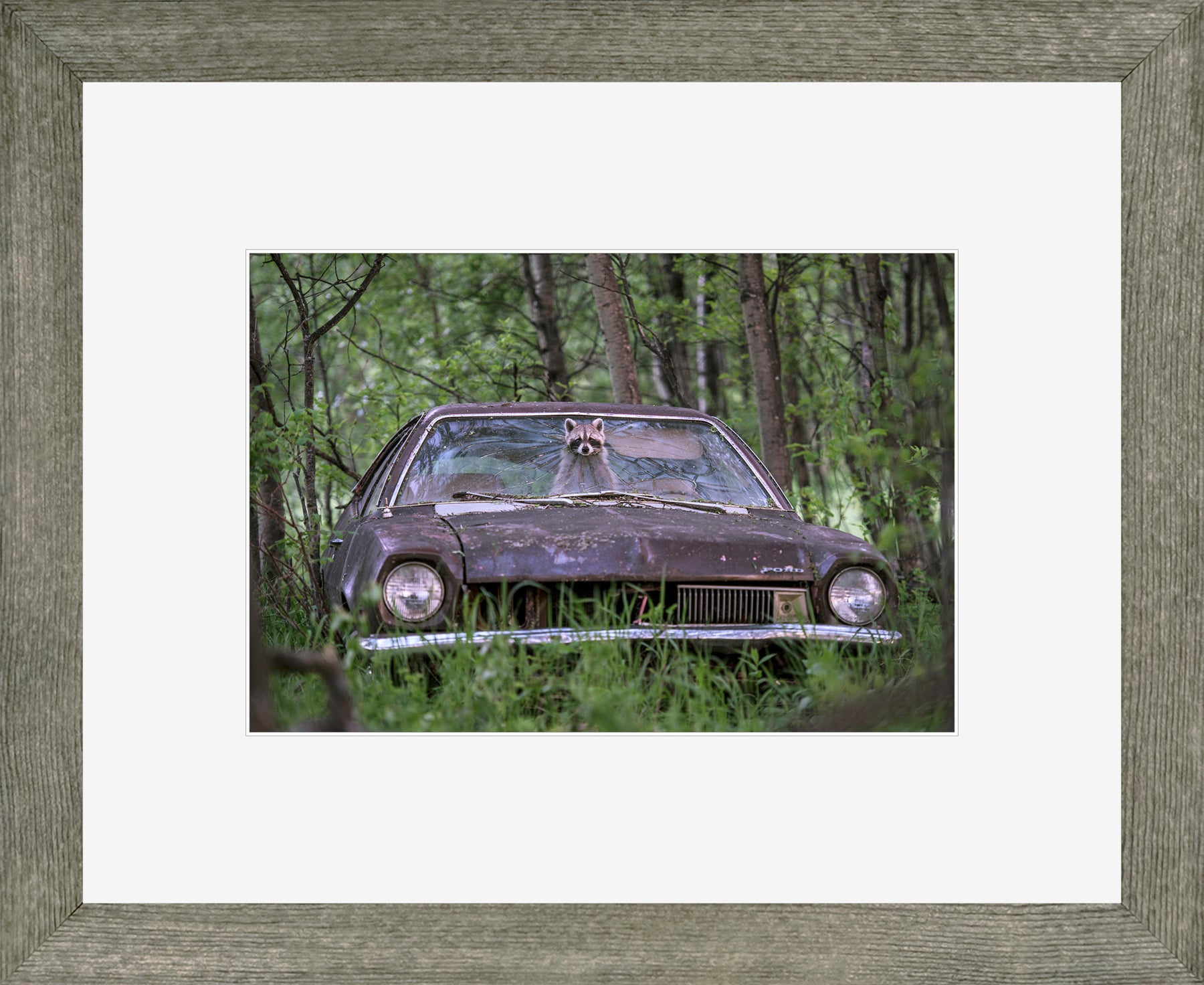 Canadian Wood Frame Grey/White Mat