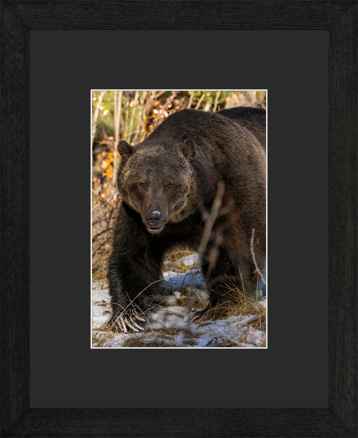 Canadian Wood Frame Black/Black Mat