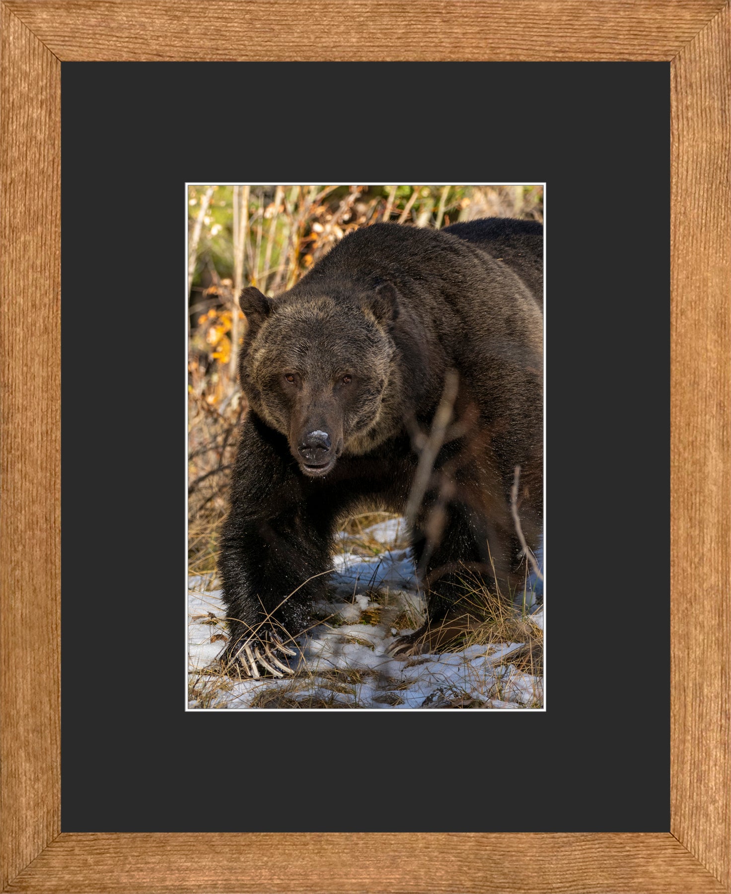 Canadian Wood Frame Brown/Black Mat