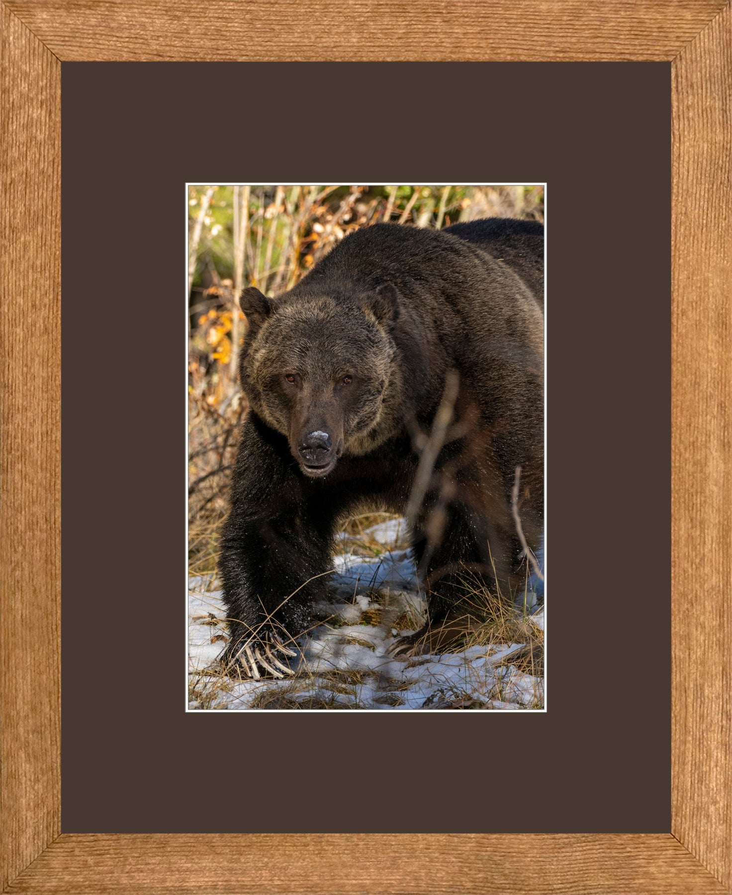 Canadian Wood Frame Brown/Brown Mat