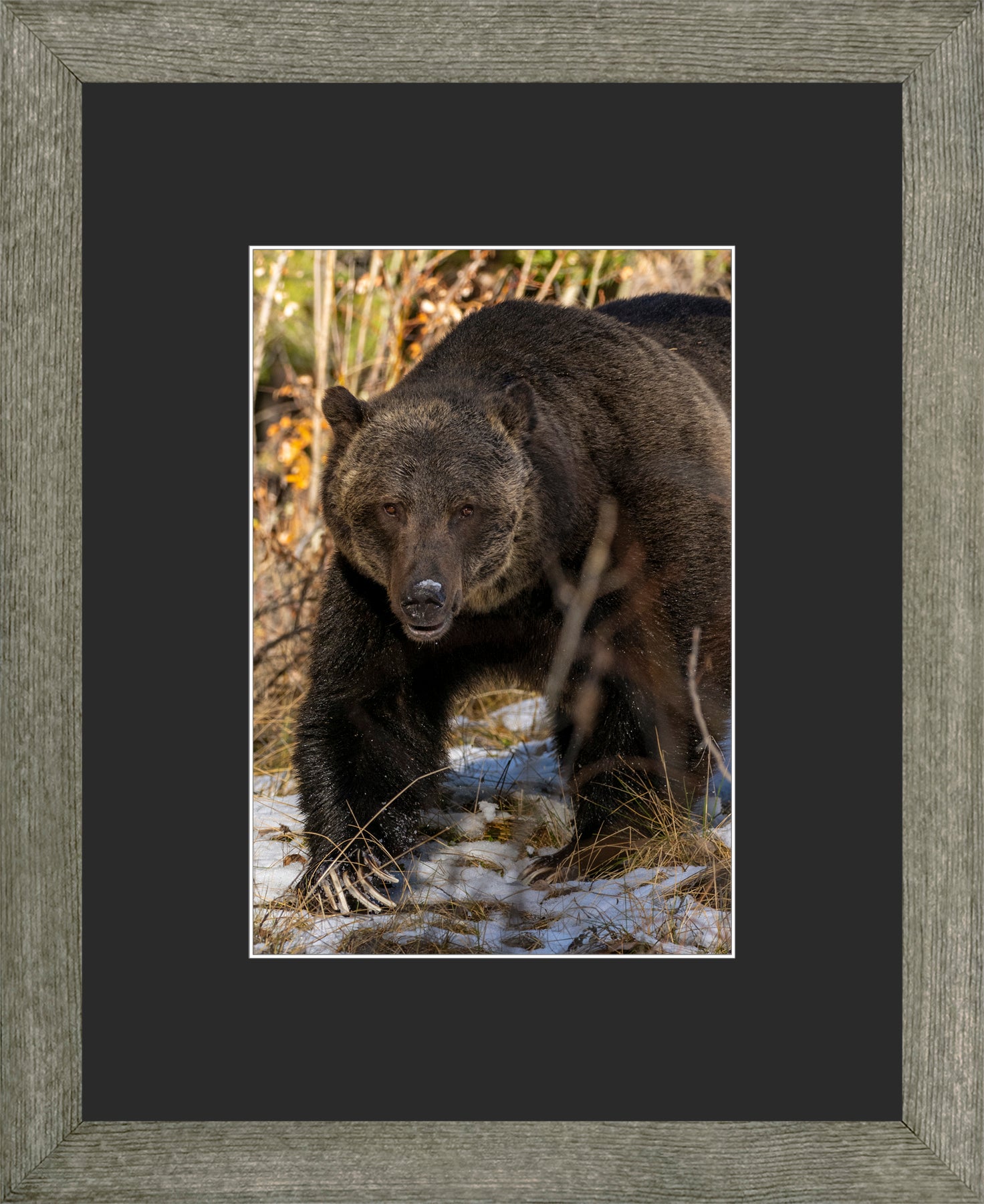 Canadian Wood Frame Grey/Black Mat