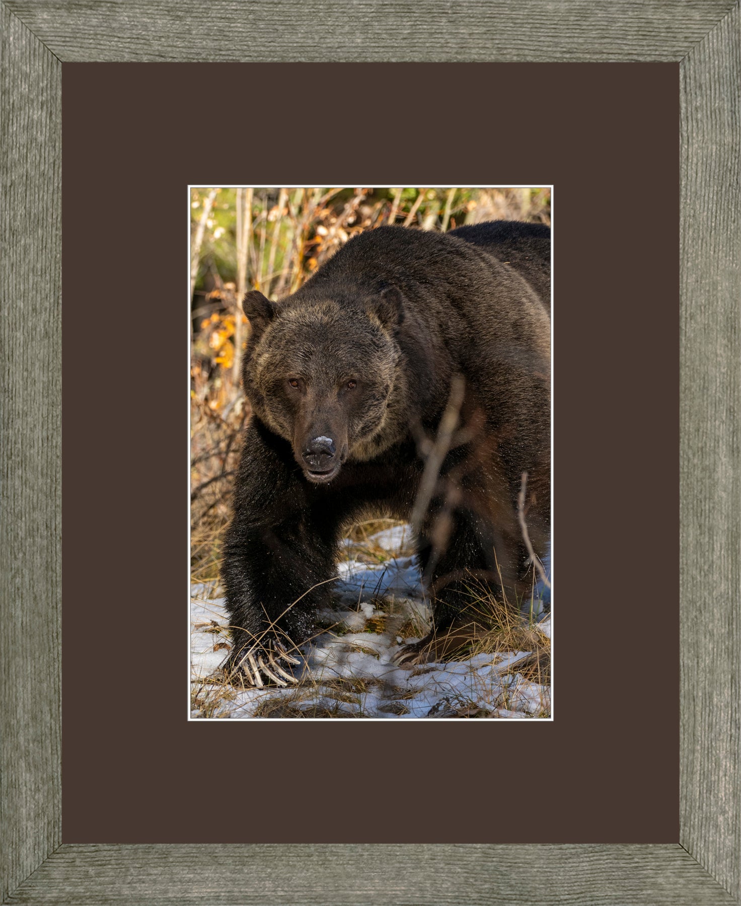Canadian Wood Frame Grey/Brown Mat