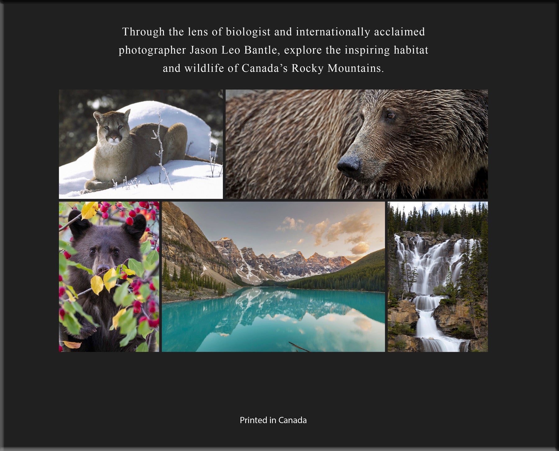Beautiful Banff & Beyond