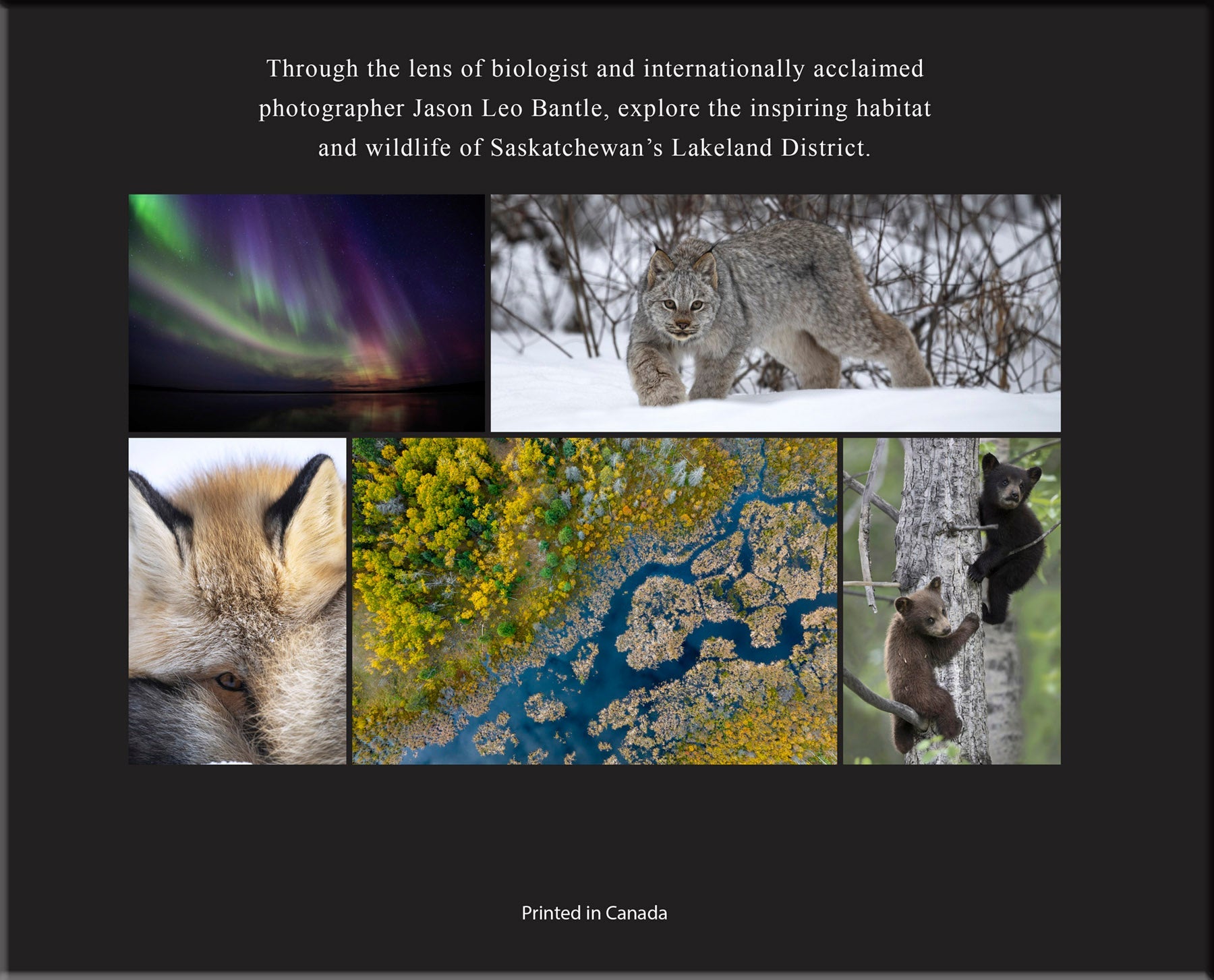 Wild Waskesiu & Beyond