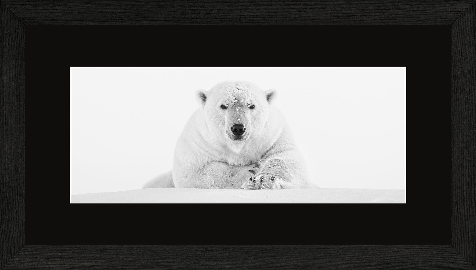 Canadian Wood Frame Panoramic